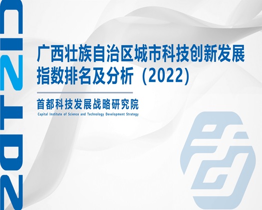 操欧美大肥逼【成果发布】广西壮族自治区城市科技创新发展指数排名及分析（2022）